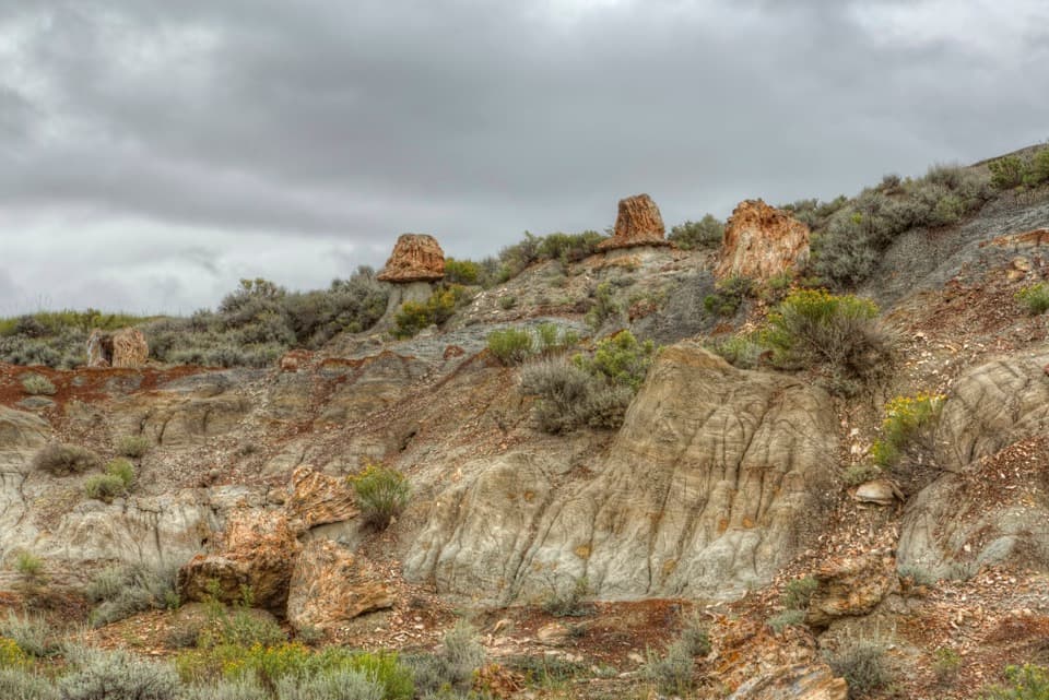 Petrified Forest to Overlook in Theodore Roosevelt National Park