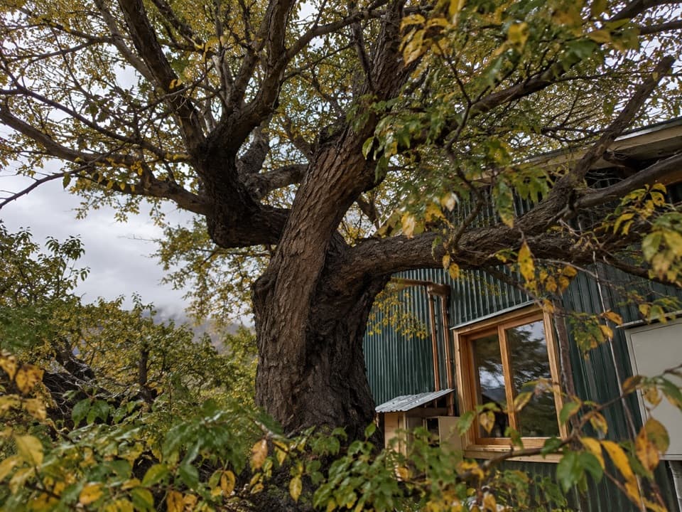 Camping Serón in Torres del Paine National Park