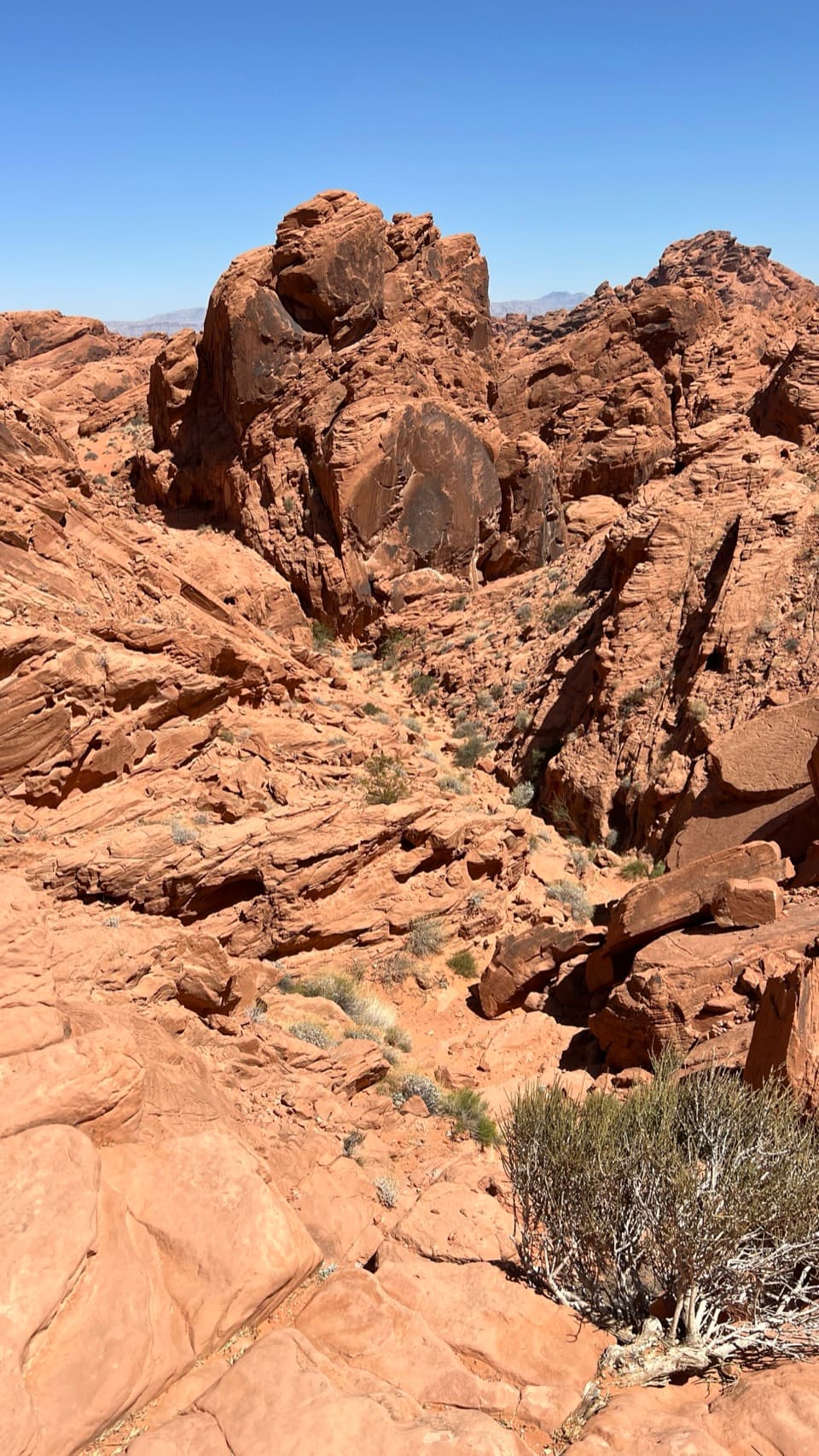 Fire Canyon Overlook in Valley of Fire State Park