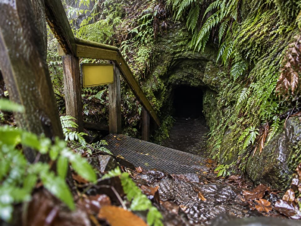 Tatare Tunnels in Westland Tai Poutini National Park
