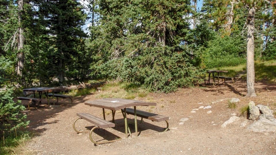 Lewis Lake Picnic Area in Yellowstone National Park