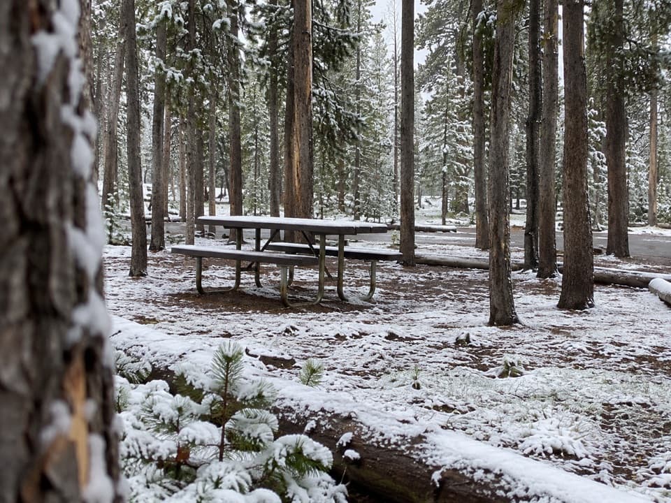 East Divide Picnic Area in Yellowstone National Park