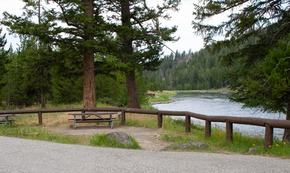 Madison River Picnic Area in Yellowstone National Park