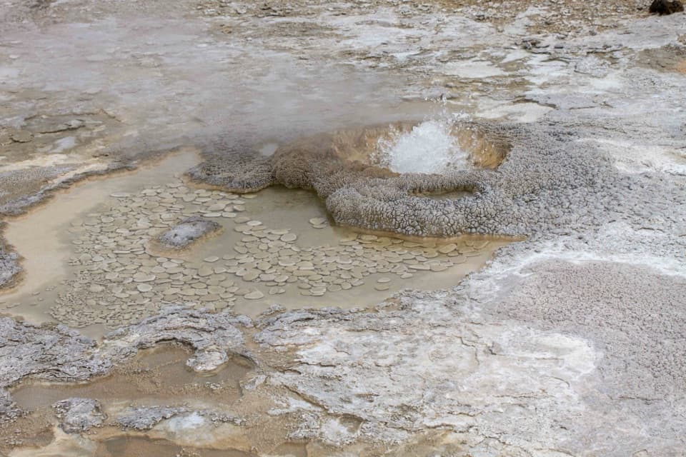 Aurum Geyser in Yellowstone National Park