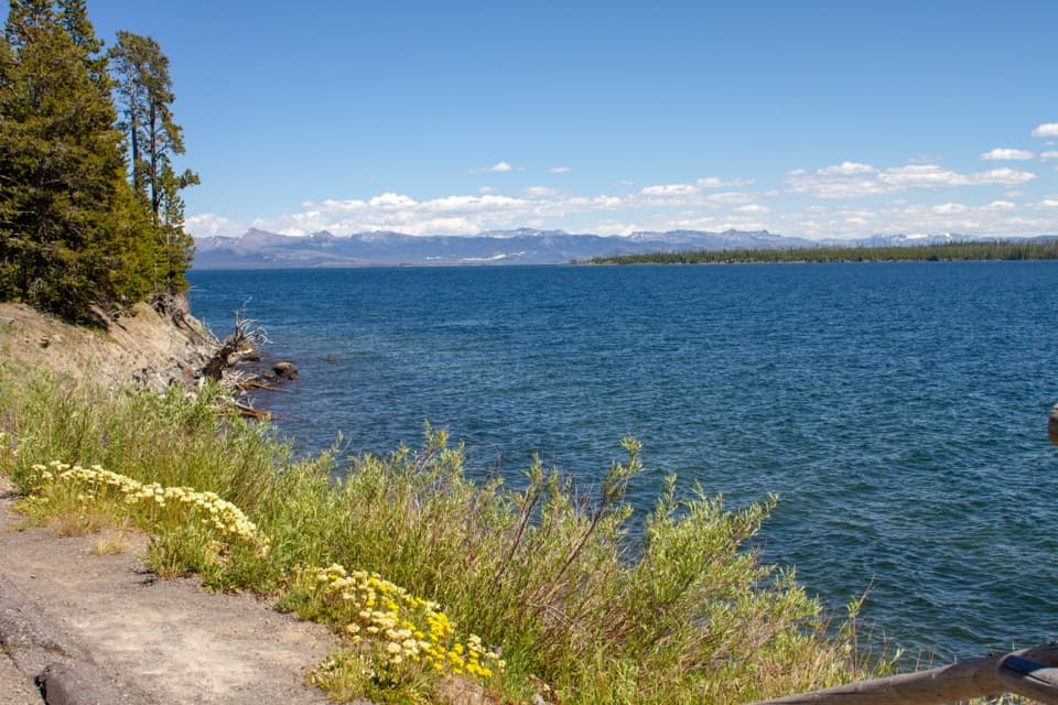 Pumice Point Picnic Area in Yellowstone National Park
