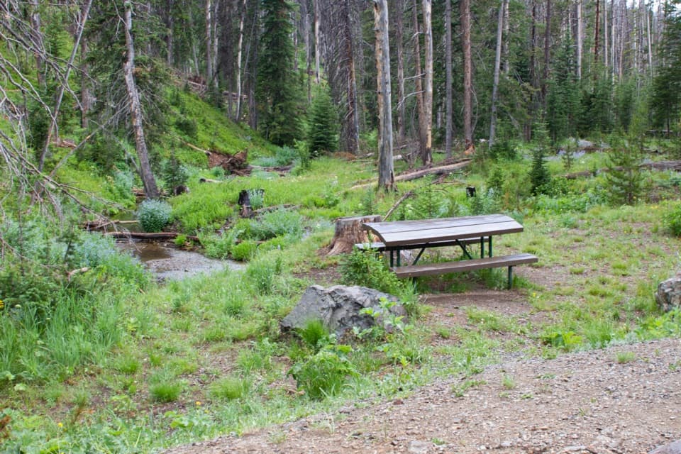 Eleanor Lake Picnic Area in Yellowstone National Park