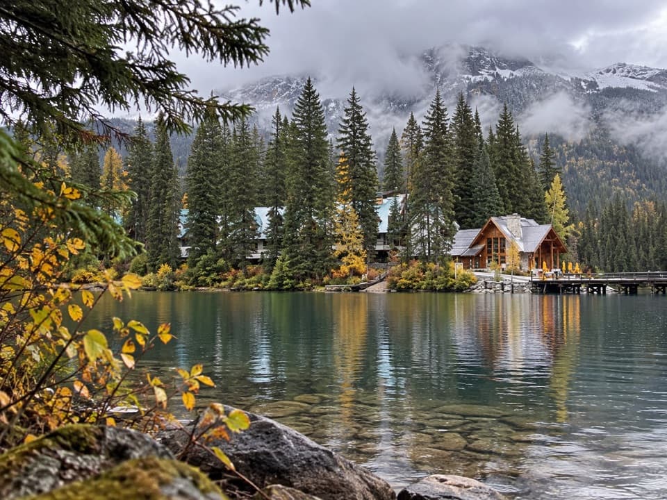 Cilantro on the Lake in Yoho National Park