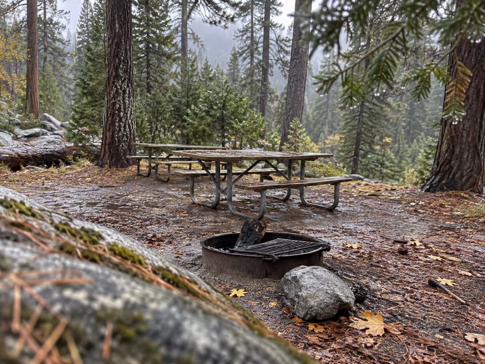 Yosemite Creek Picnic Area in Yosemite National Park