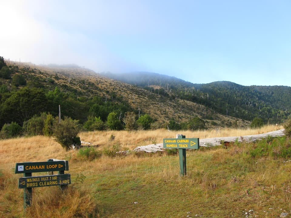 Canaan Loop Track in Abel Tasman National Park