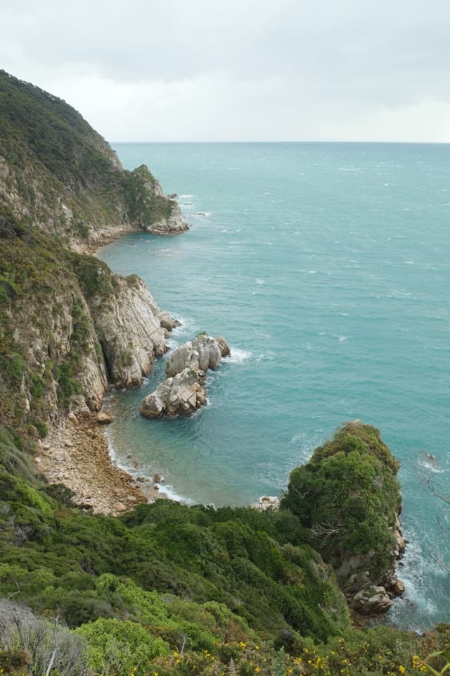 Wainui to Separation Point in Abel Tasman National Park