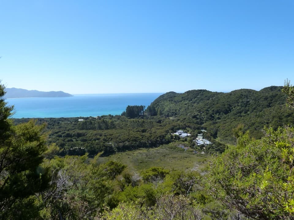 Sky Track in Abel Tasman National Park