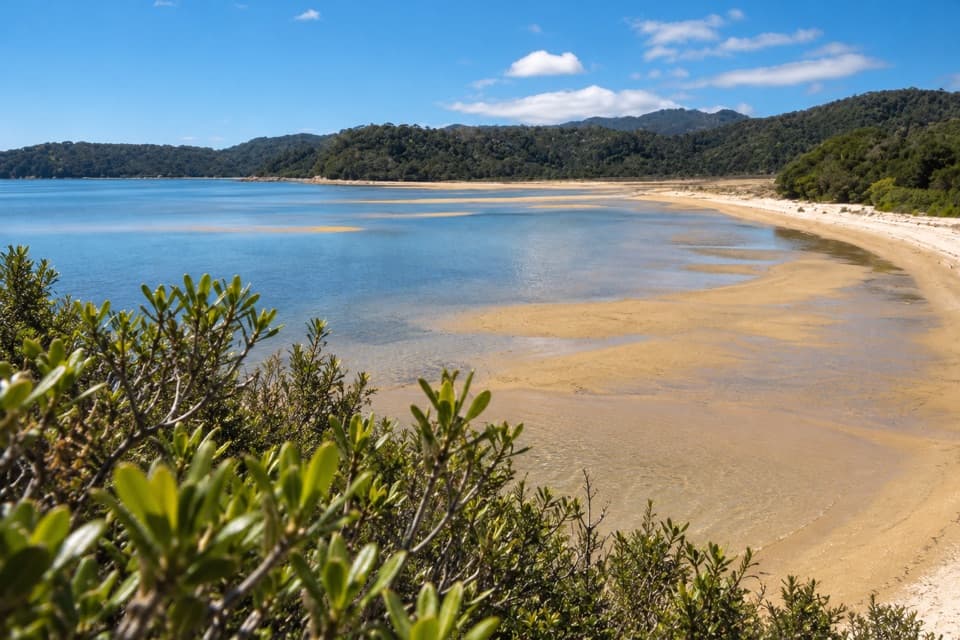 Mārahau to Observation Beach in Abel Tasman National Park