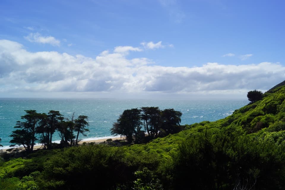 Wainui to Whariwharangi Bay in Abel Tasman National Park