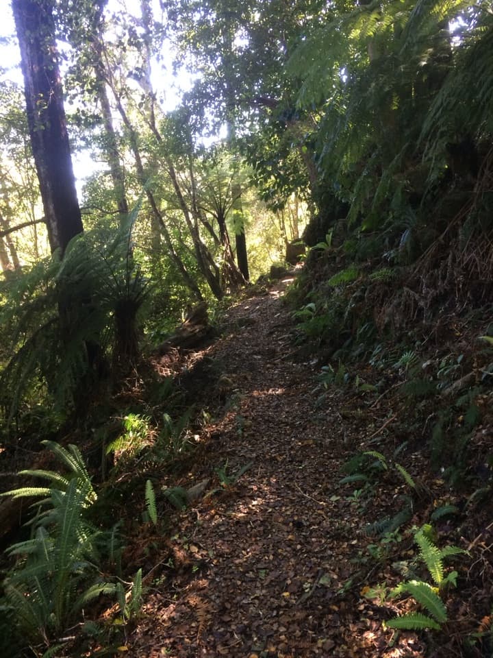 Rameka Track in Abel Tasman National Park