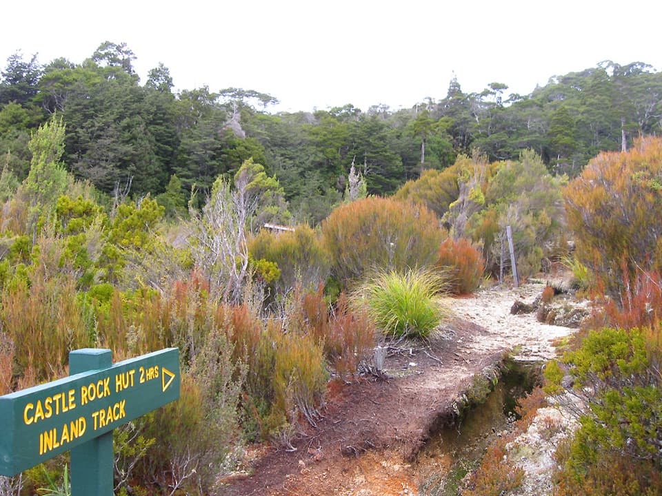 Abel Tasman Inland Track in Abel Tasman National Park