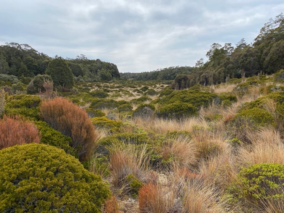 Moa Park Track in Abel Tasman National Park