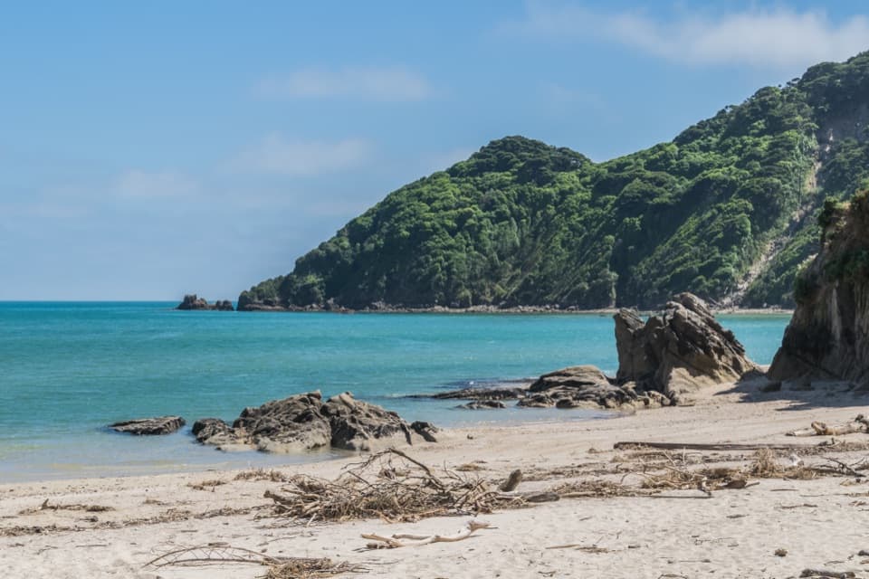 Wainui Bay Beach Walk in Abel Tasman National Park