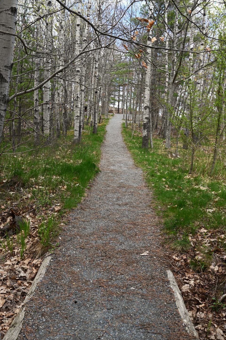 Great Meadow Loop in Acadia National Park