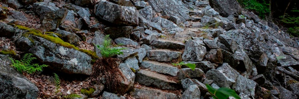 Perpendicular Trail in Acadia National Park