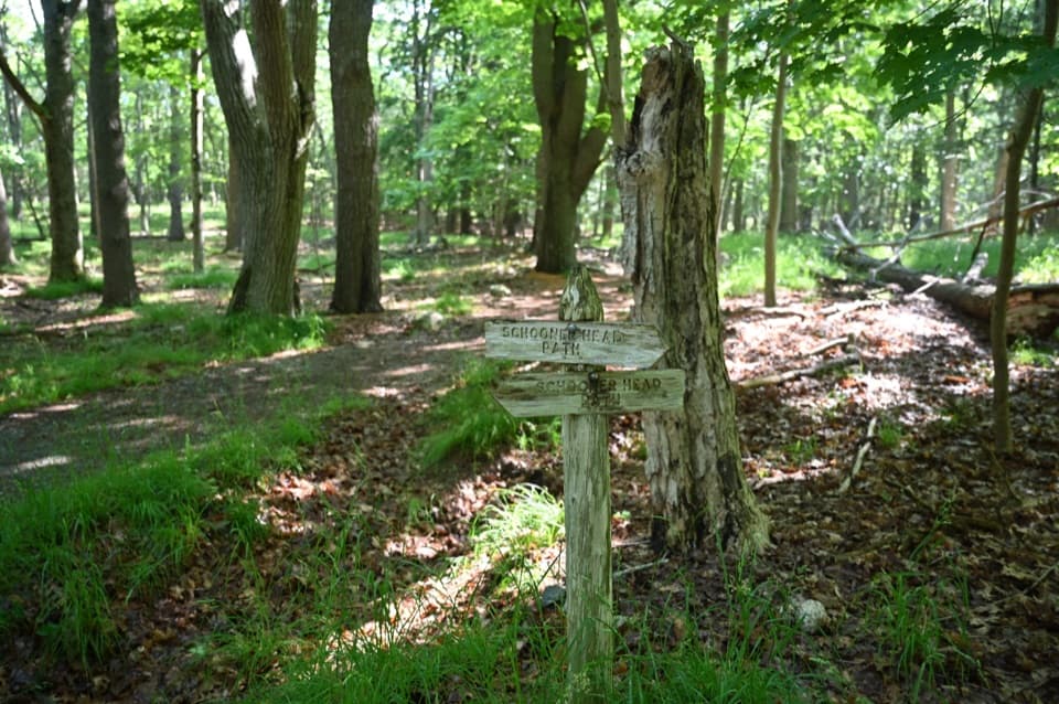 Schooner Head Path in Acadia National Park