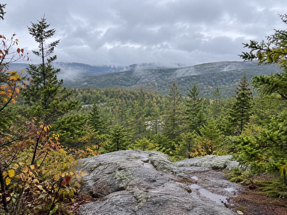 Hunters Brook Trail in Acadia National Park