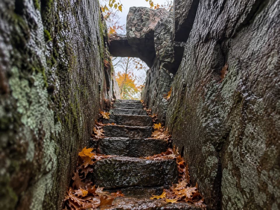 Homans Path in Acadia National Park