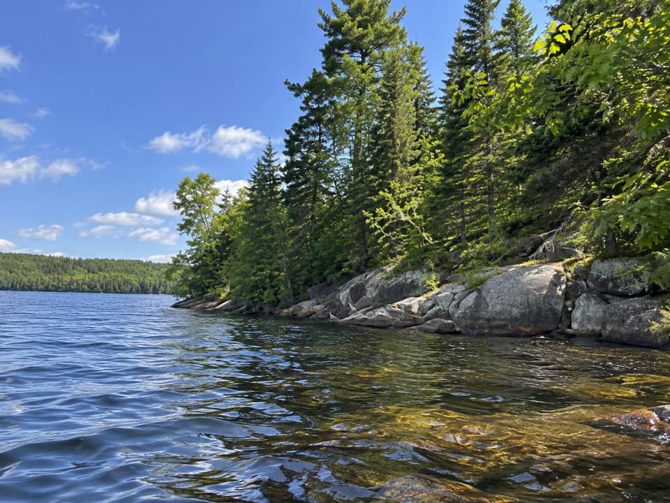 Limestone Trail in Algonquin Provincial Park