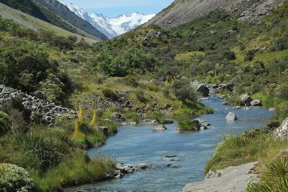 Ball Hut Track in Aoraki / Mount Cook National Park