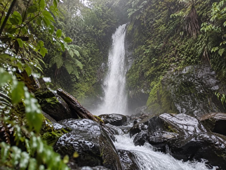 Ngarimu Waterfall Track in Arthur's Pass National Park