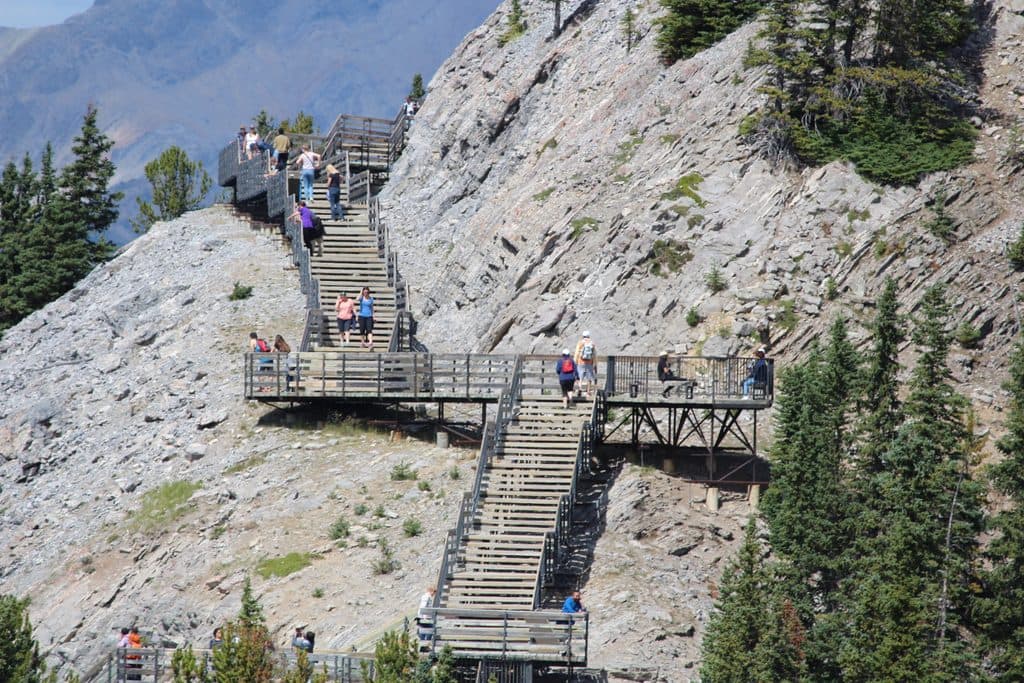 Sulphur Mountain Trail in Banff National Park