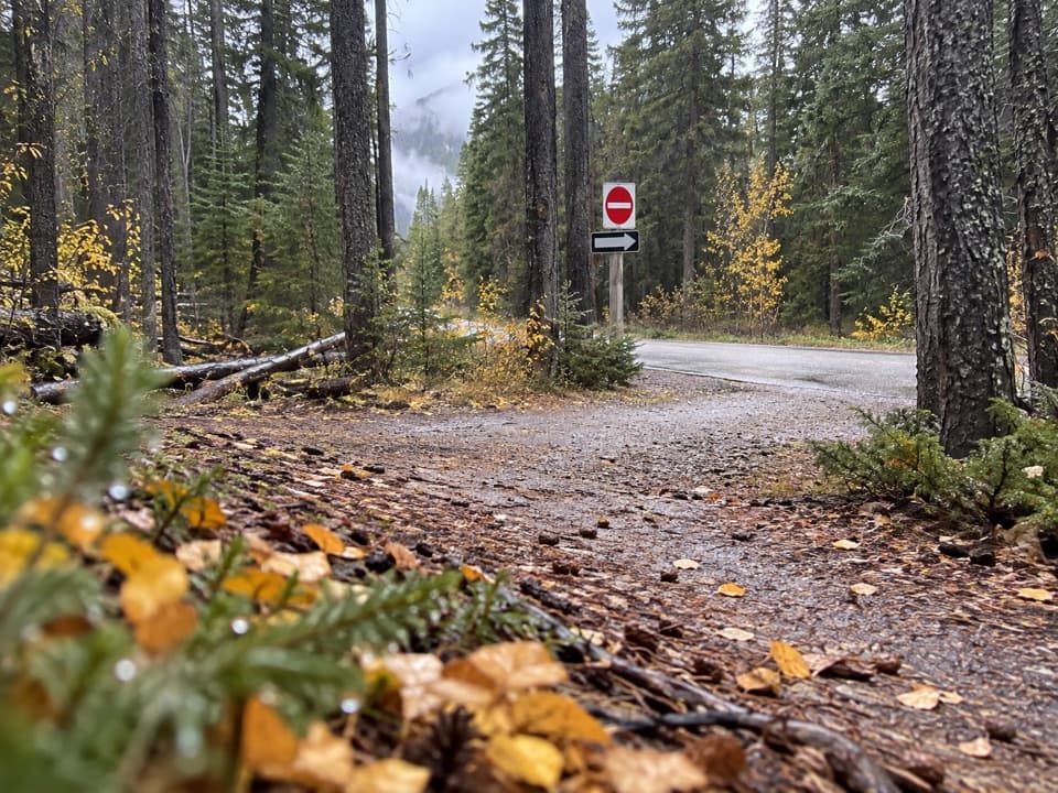 Rundle Riverside Trail in Banff National Park