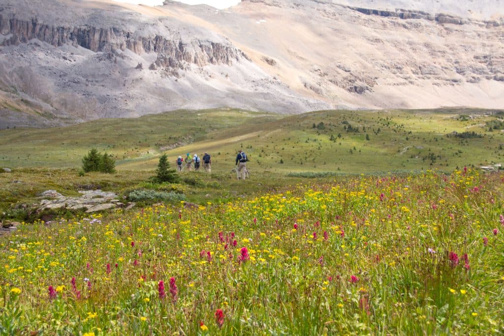 North Molar Pass in Banff National Park