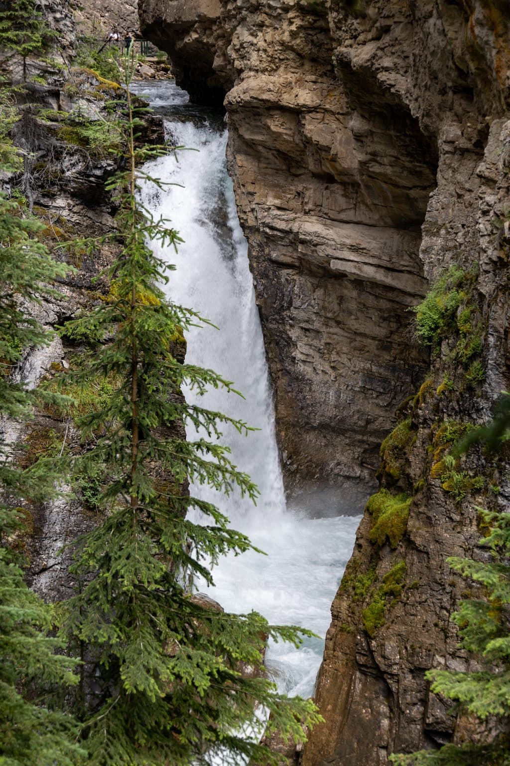 Johnston Canyon Lower Falls in Banff National Park