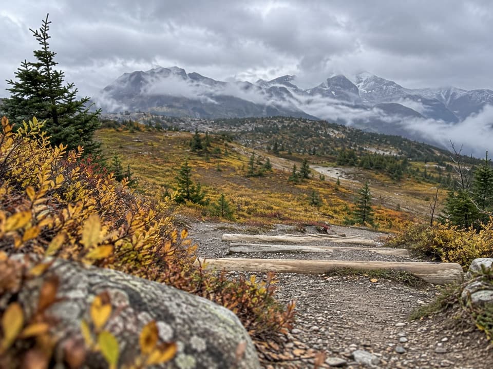Simpson Pass Trail in Banff National Park