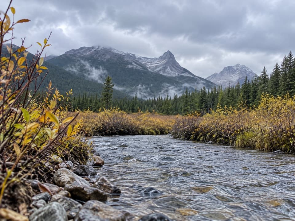 Sawback Lake to Block Lakes Junction Trail in Banff National Park