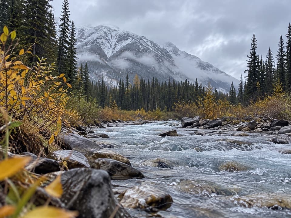 Healy Creek Trail in Banff National Park