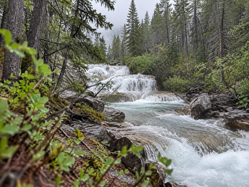 Aurora Creek-Marvel Pass Trail in Banff National Park