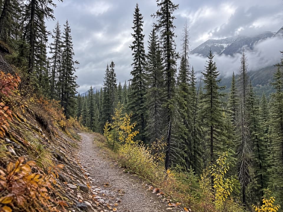 Brewster Creek Trail in Banff National Park
