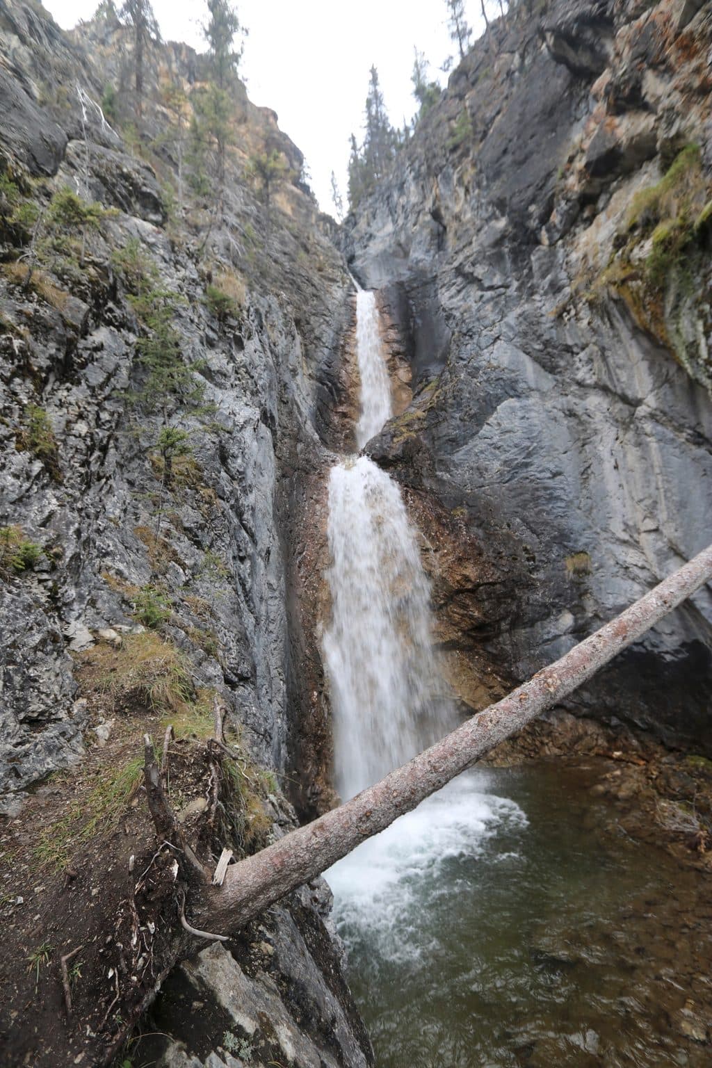 Silverton Falls Trail in Banff National Park