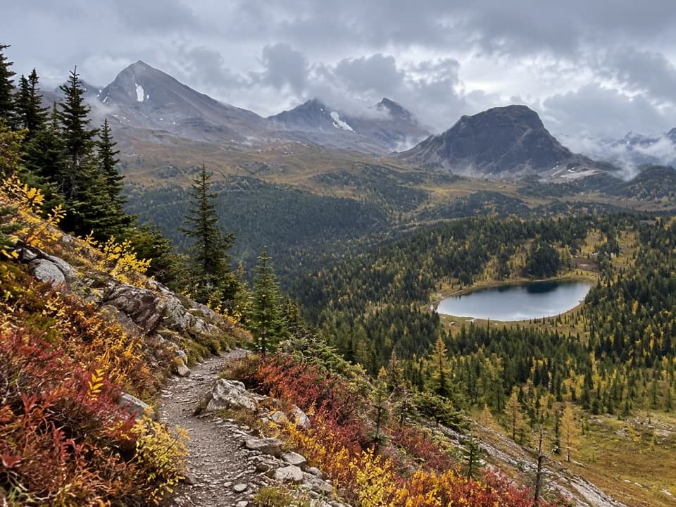 Citadel Pass Trail in Banff National Park