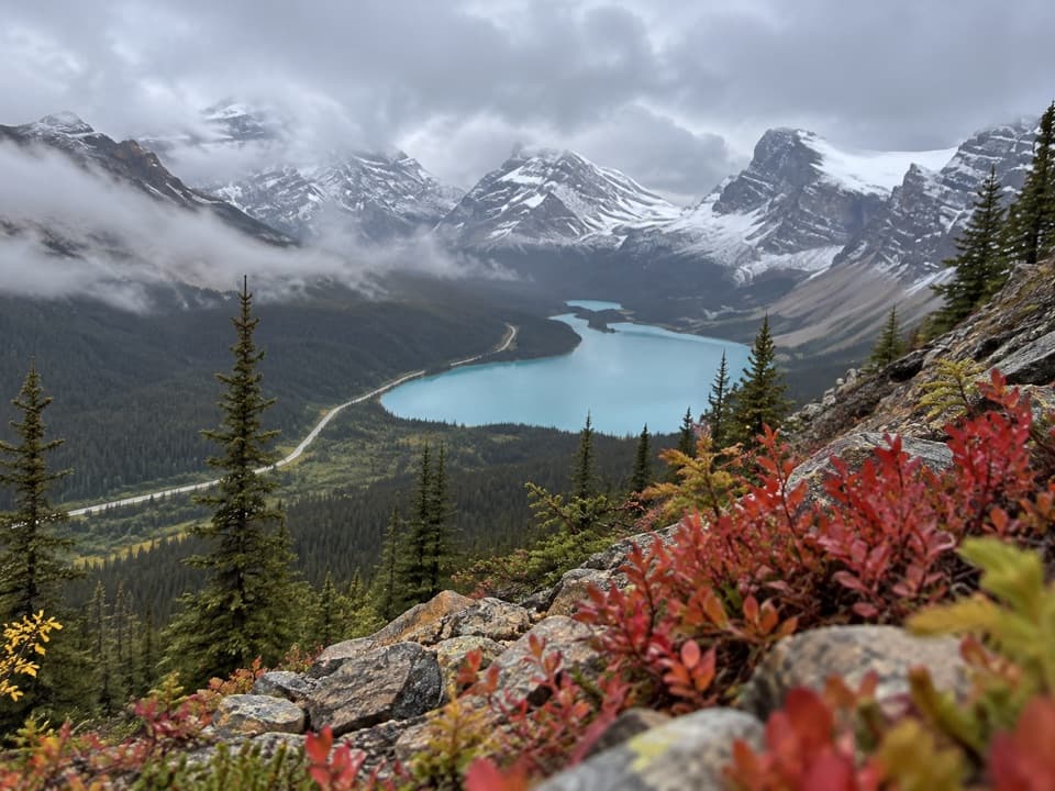 Bow Summit Viewpoint Trail in Banff National Park