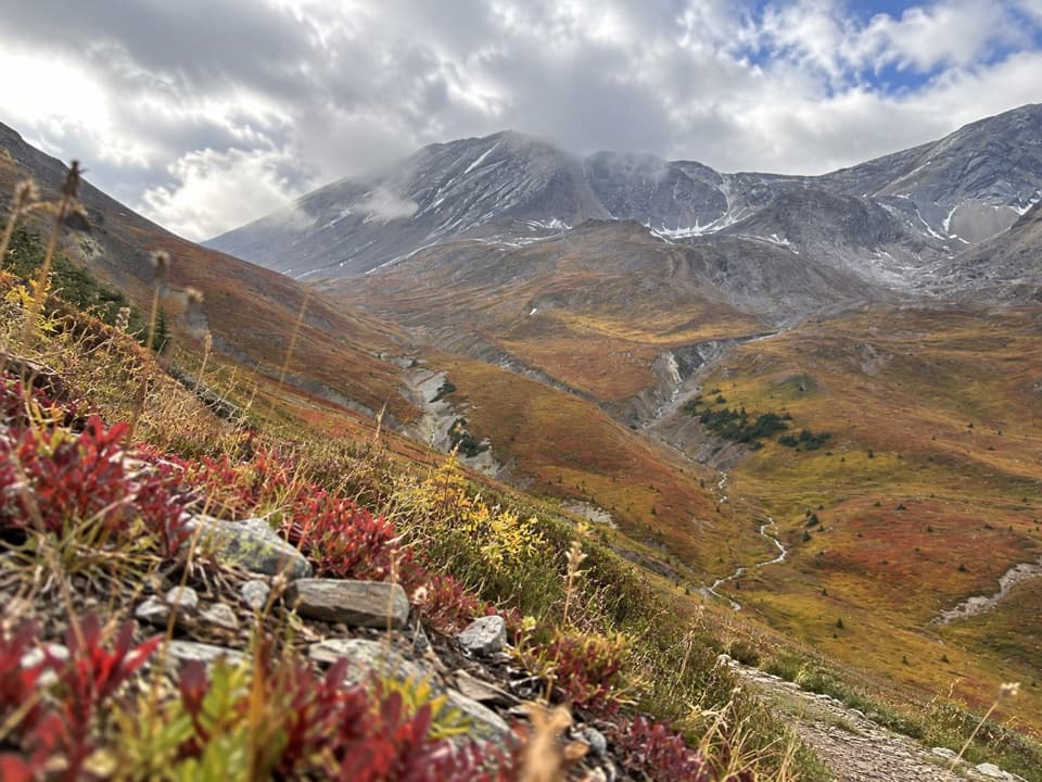 Pipestone Pass Trail in Banff National Park