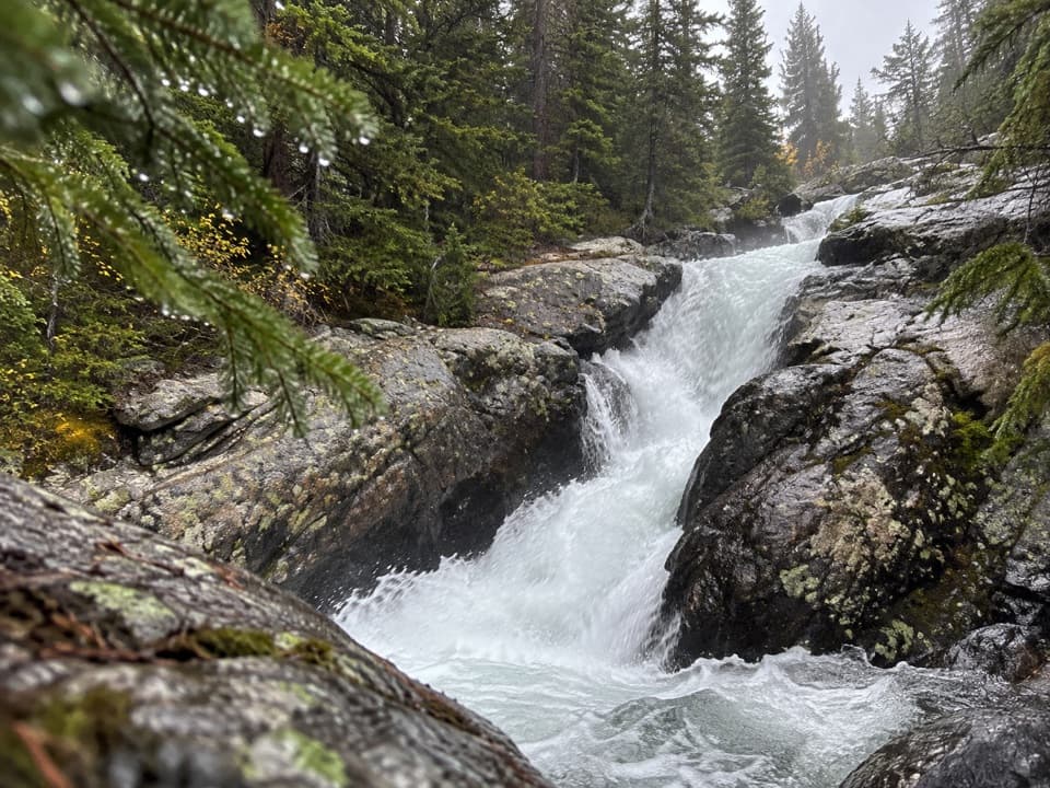 Calamity and Sentinel Falls Trail in Beartooth Highway