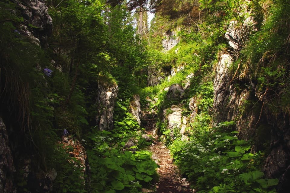 Neue Traunsteiner Hütte via Wachterlsteig in Berchtesgaden National Park