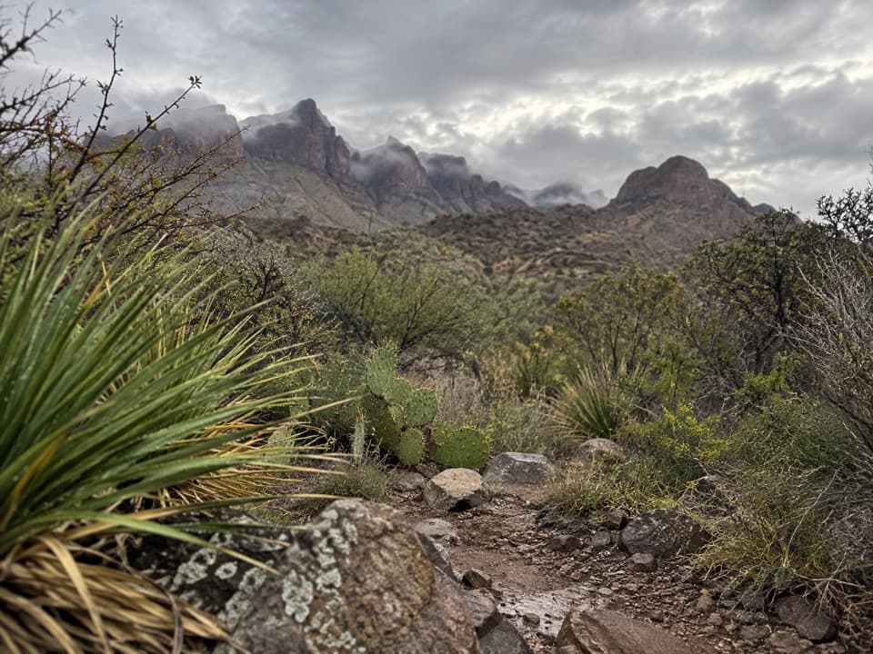 Dominguez Spring Trail in Big Bend National Park