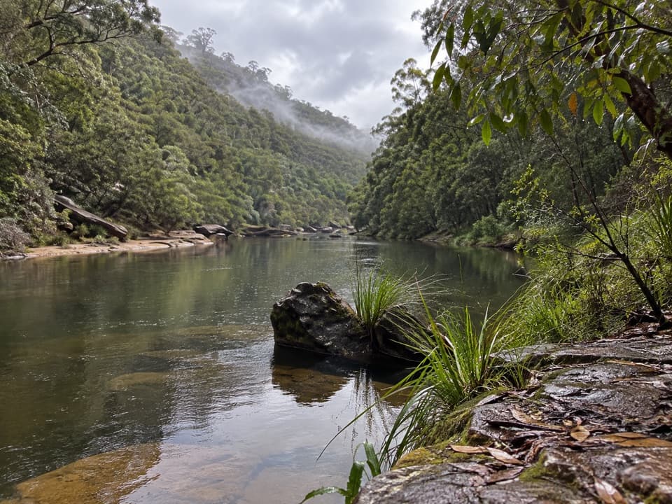 Grose River Walking Track from Faulconbridge in Blue Mountains National Park