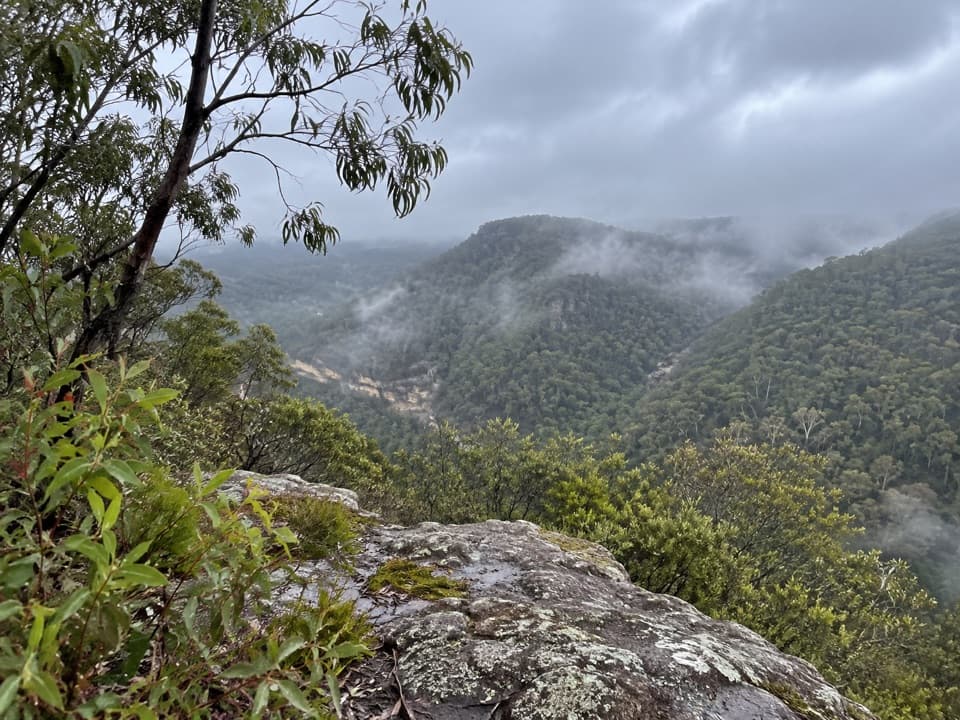Pisgah Rock walking track in Blue Mountains National Park