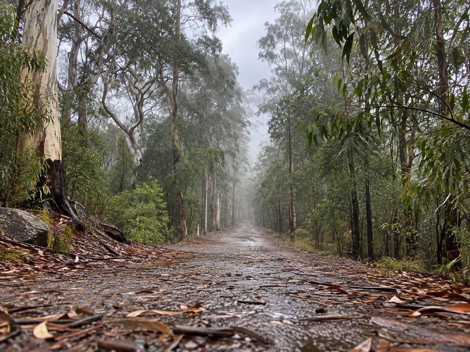 Kedumba Valley Loop in Blue Mountains National Park