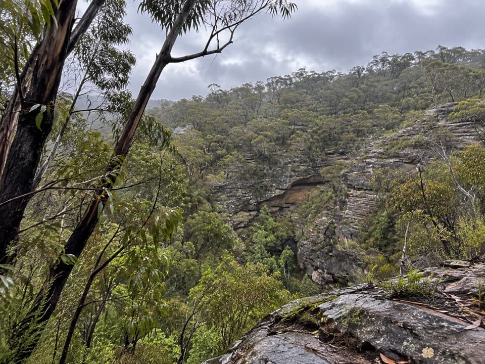 Wollangambe River walking track in Blue Mountains National Park