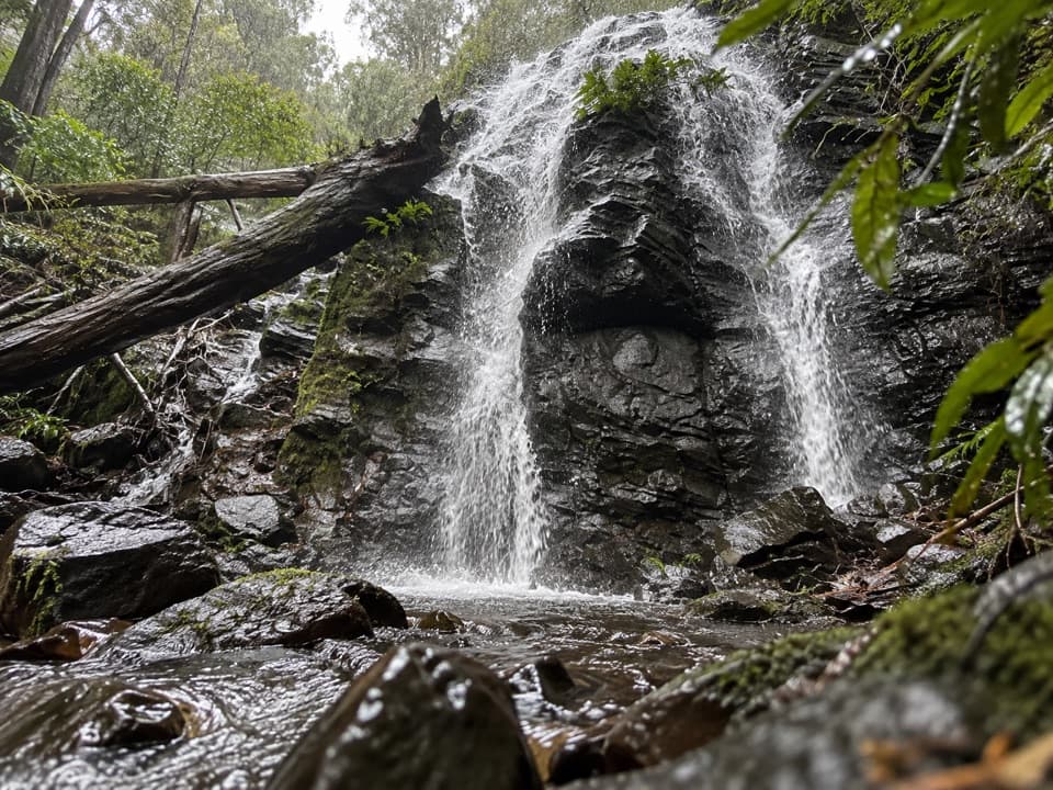 Waterfall Reserve walking track in Blue Mountains National Park